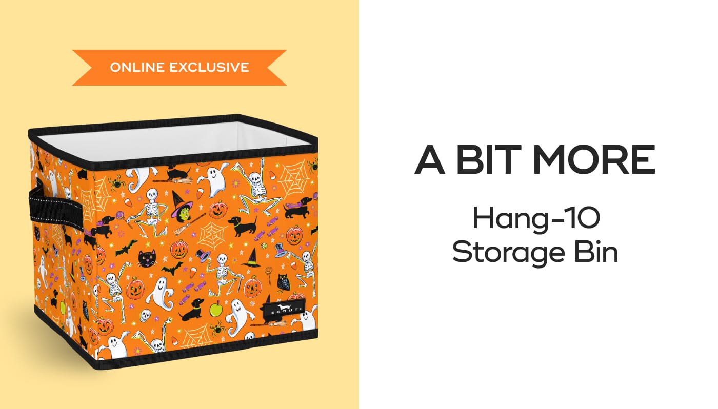 ONLINE EXCLUSIVE. A BIT MORE. Hang-10 Storage Bin