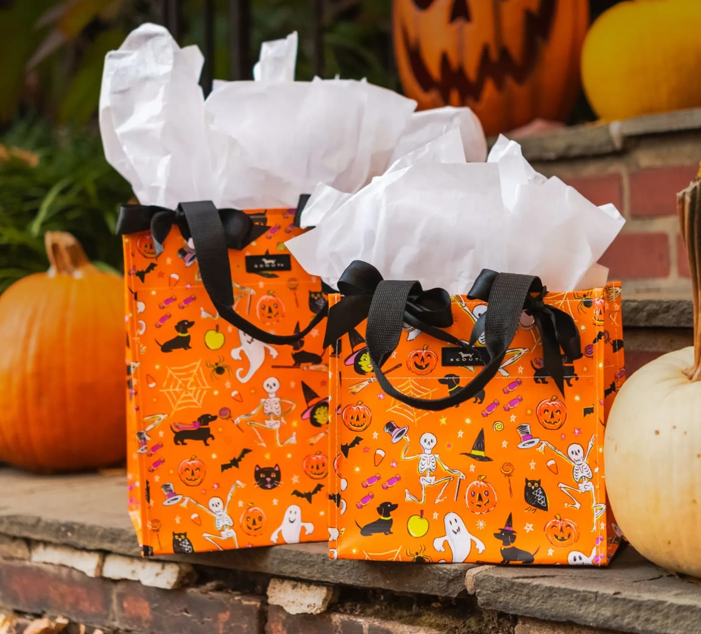 Two SCOUT gift bags in the Boogie Nights Halloween pattern sitting on stone steps with pumpkins.