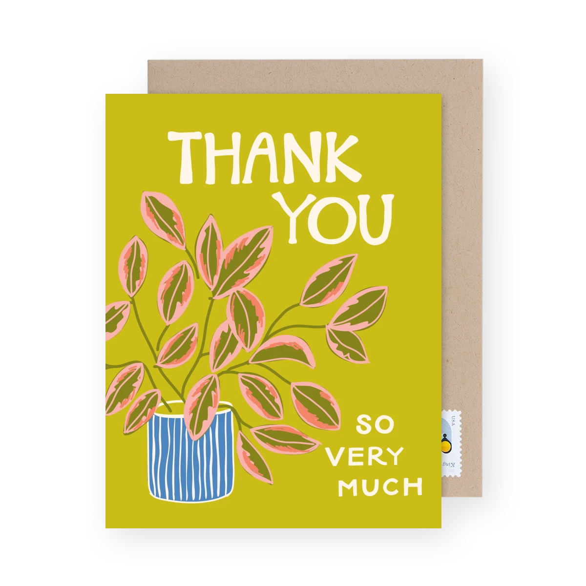 Thank You Cards