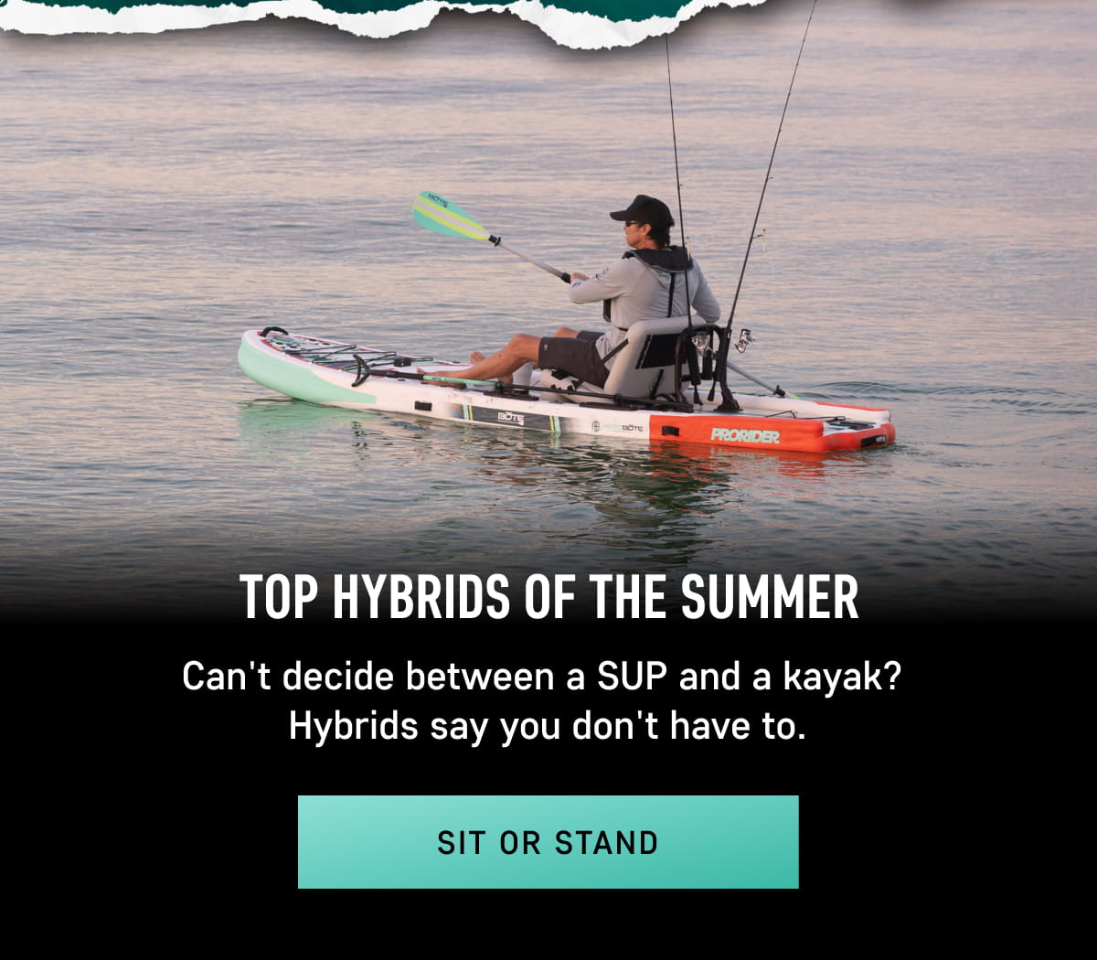 Shop Top Hybrids of the Summer