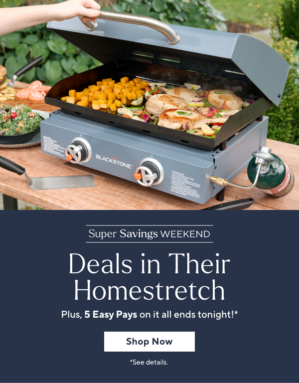 5 Easy Pays on Everything*