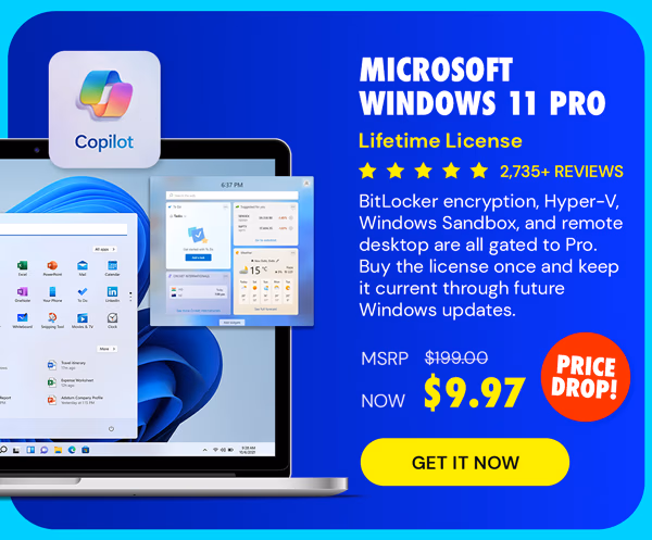 Microsoft Windows 11 Pro