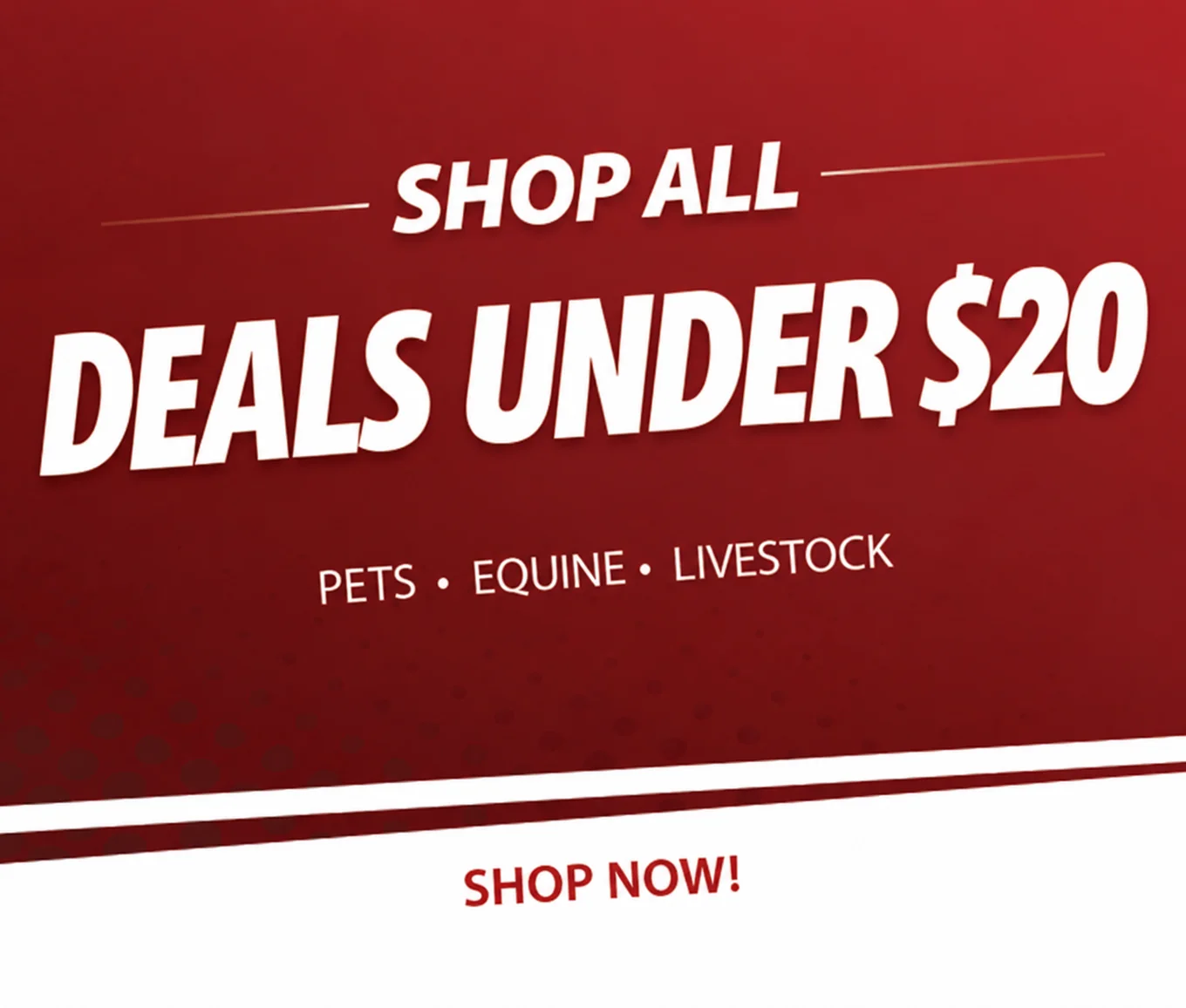 Shop All Clearance Sales and Deals