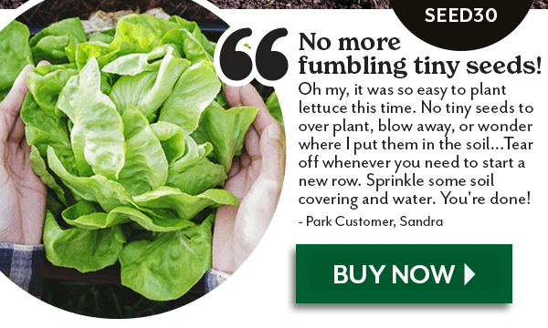Gardening is Sow Effortless