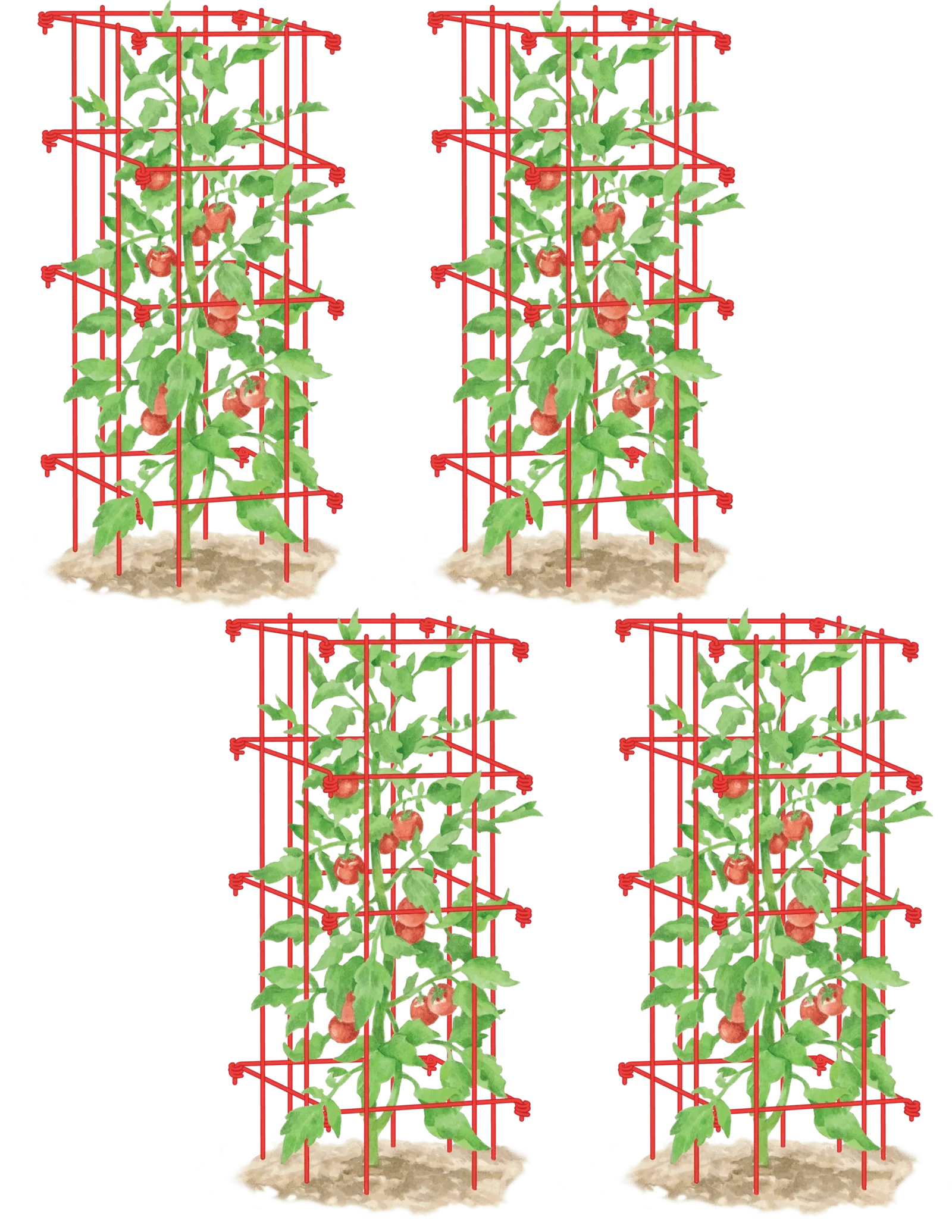 Image of Tomato Cages, Set of 4