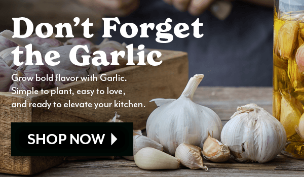 Don't Forget the Garlic. Grow bold flavor with Garlic, Simple to plant, easy to love, and ready to elevate your kitchen.