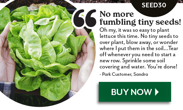 Countdown to Fall: 30% Off All Seeds with code SEED30. Offer ends 9/23/2026, 6am Easter Time