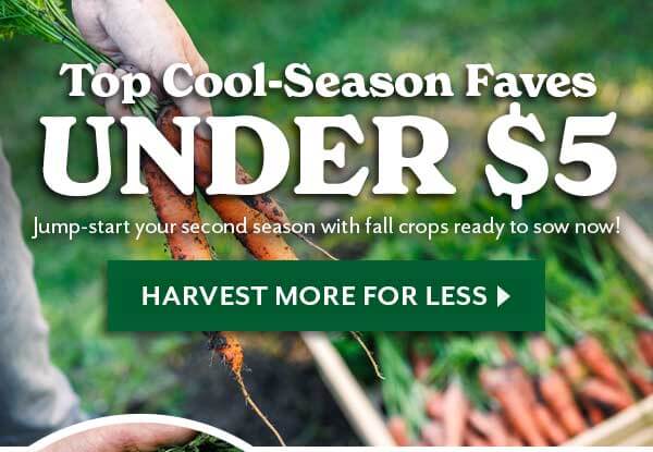 Top 75 Cool Season Seeds UNDER $5