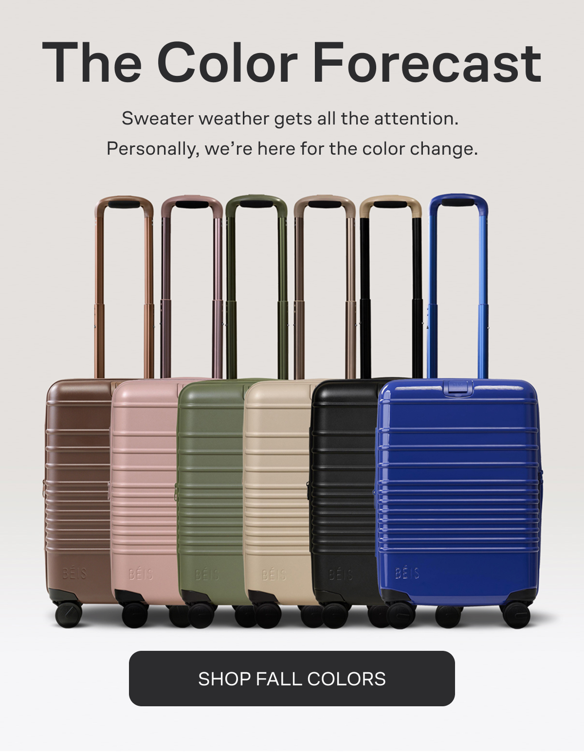 The Color Forecast - Shop All