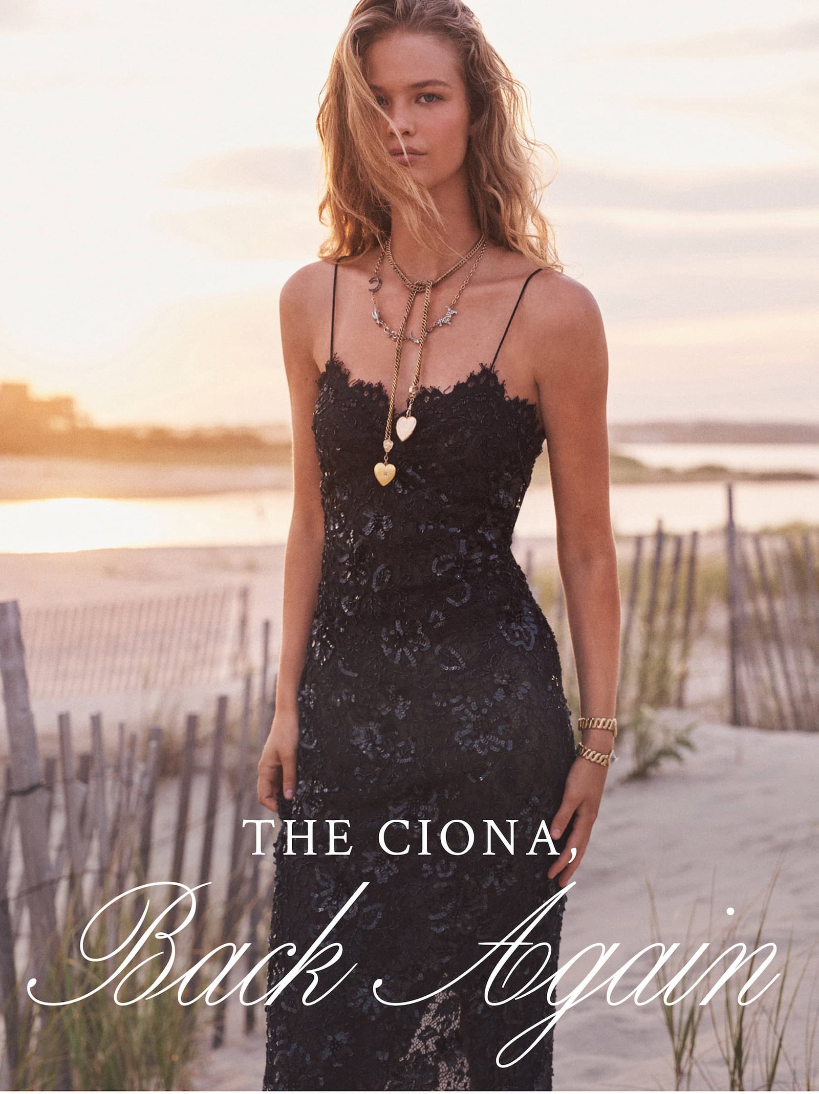 THE CIONA, BACK AGAIN