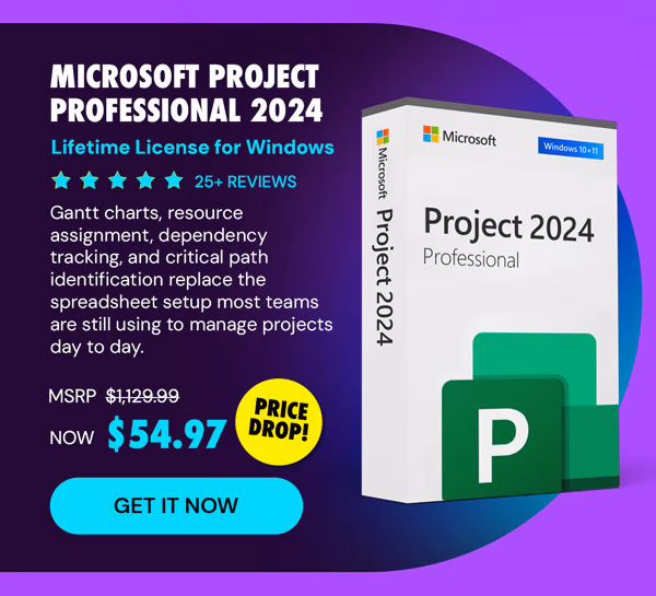 Microsoft Project Professional 2024: Lifetime License for Windows