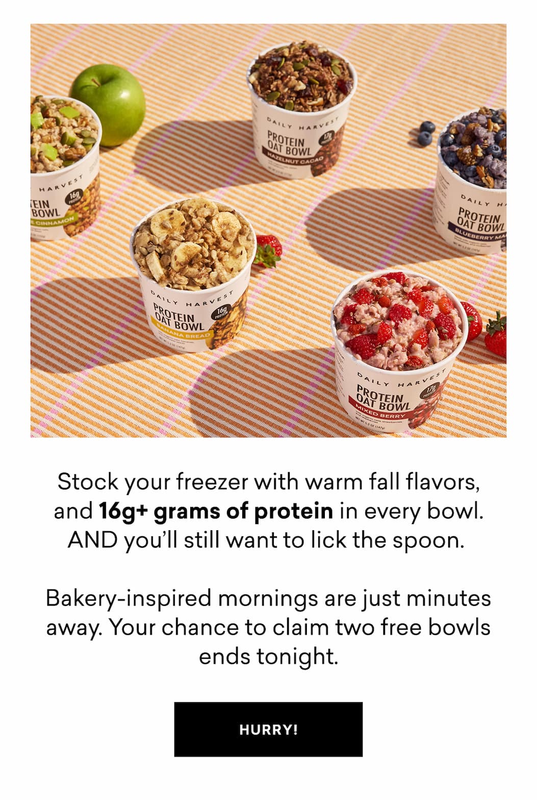 Stock your freezer with warm fall flavors, and 16g+ grams of protein in every bowl. AND you’ll still want to lick the spoon.   Bakery-inspired mornings are just minutes away. Your chance to claim two free bowls ends tonight. No code needed.