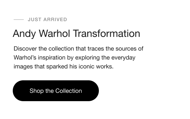 sub0andy0warhol0transformation0shop0collection