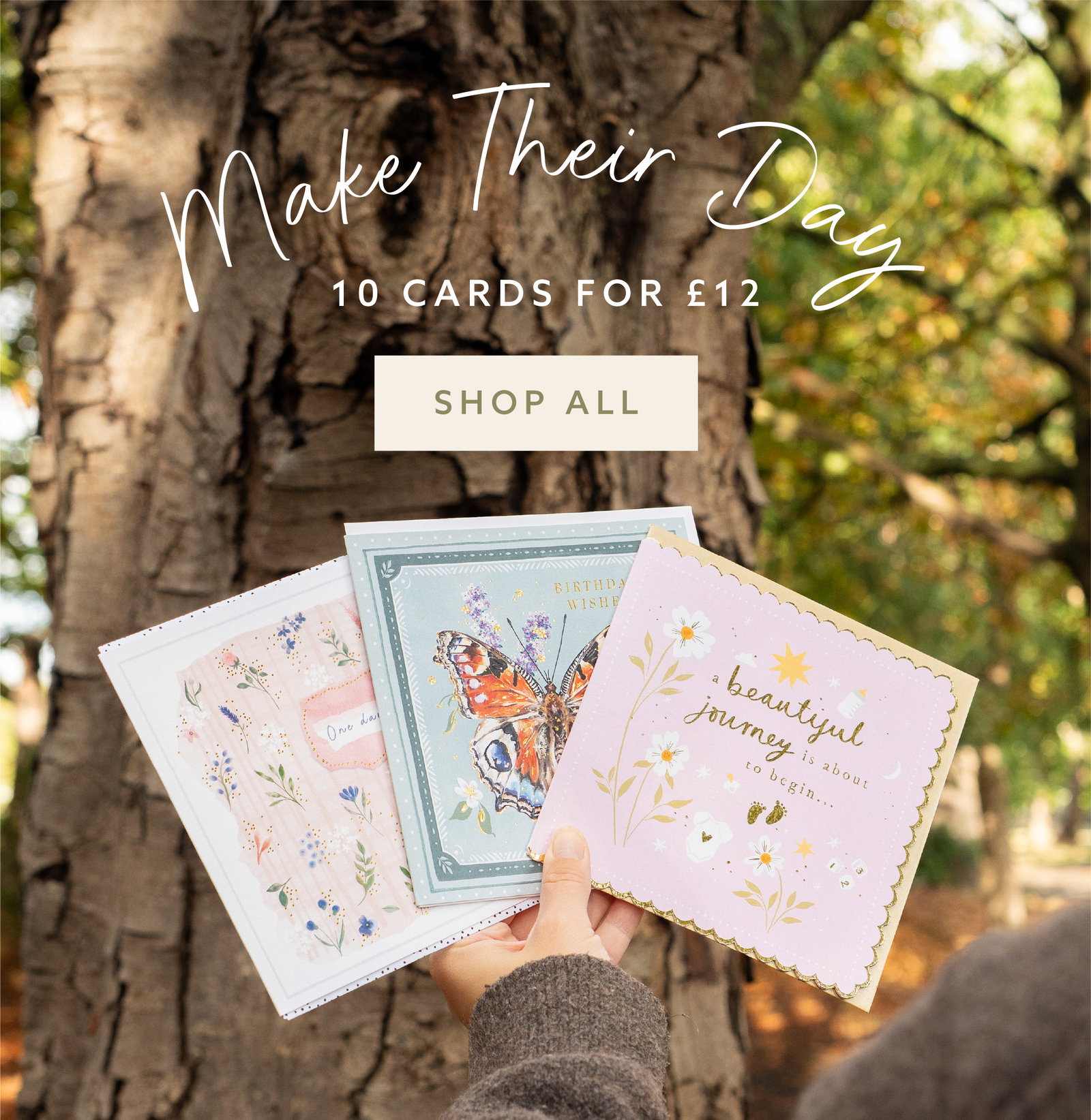 Make their day with 10 cards for £12 -  discover all cards