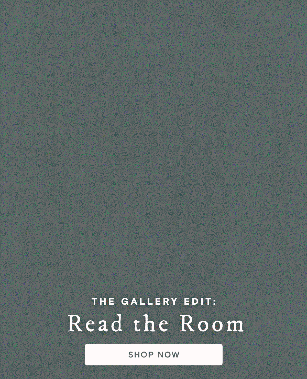 Shop the gallery edit
