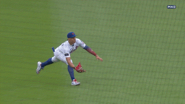 An animated gif of Juan Soto making a diving catch