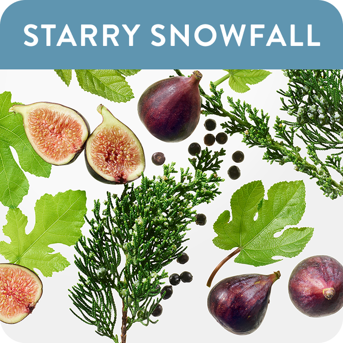 starry snowfall