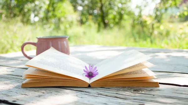 Memory: au fil des pages