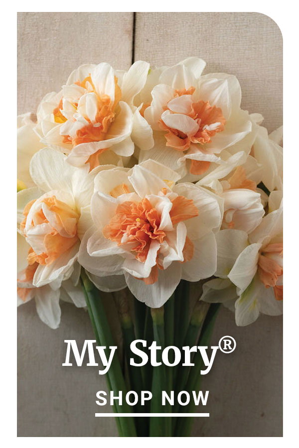 My Story® - Shop Now
