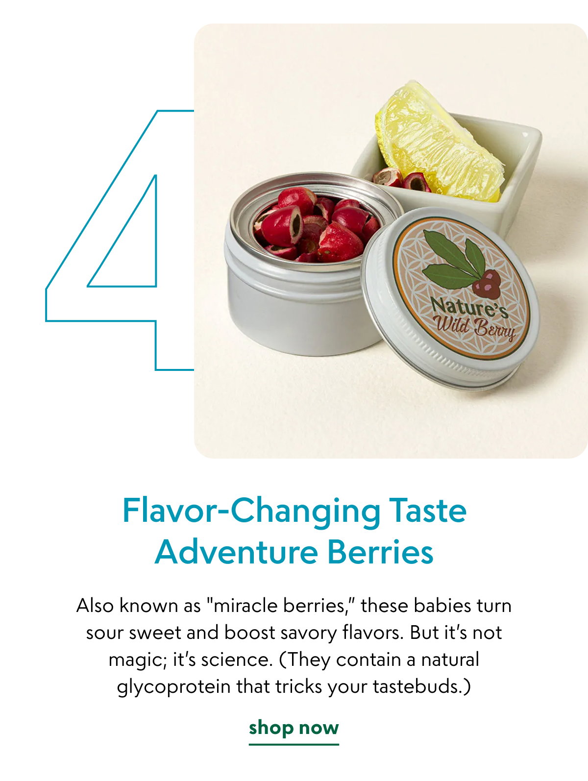 flavor-changing-taste-adventure-berries