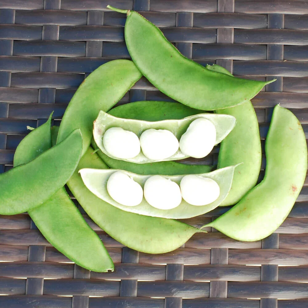 VEGETABLE SEEDS