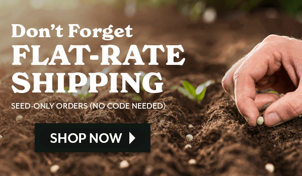 Flat-Rate Shipping on seed only orders