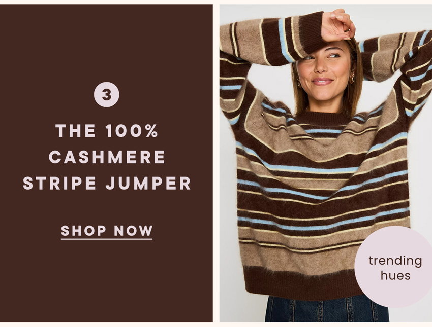 the cashmere stripe jumper 