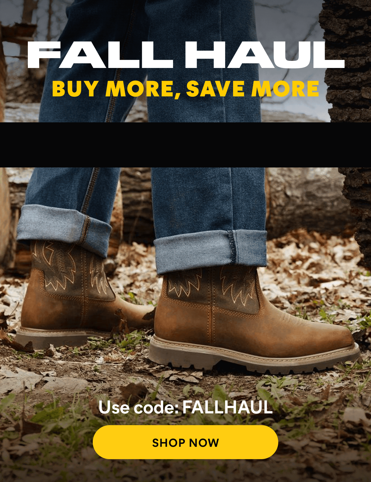 CAT - FALL HAUL | Buy More, Save More - 15% Off Orders $75+ , 20% Off Orders $100+ , 25% Off Orders $150+.