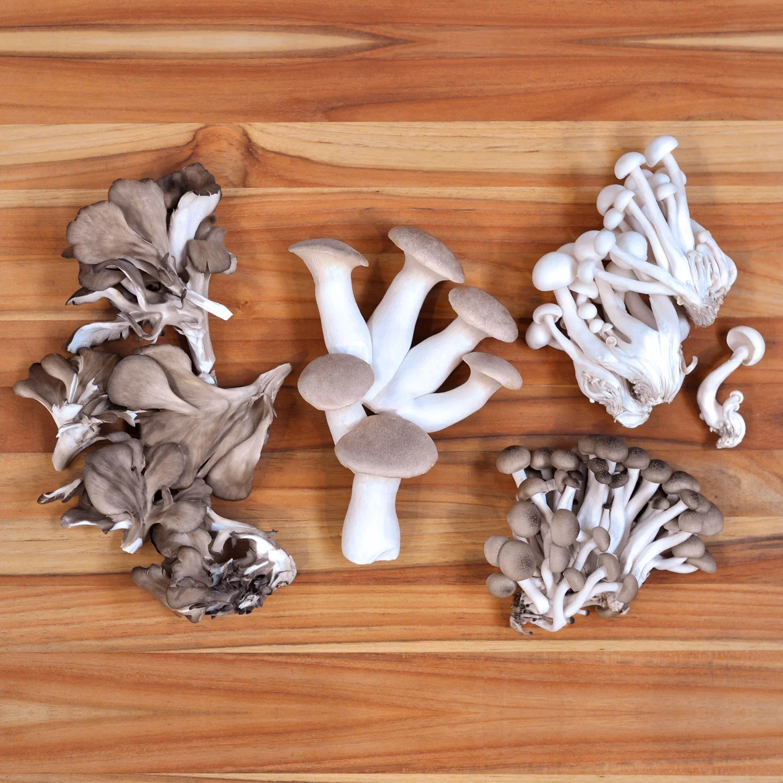Image of Organic Chef's Mix Mushrooms