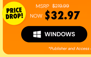 Microsoft Office Professional 2021 for Windows: Lifetime License