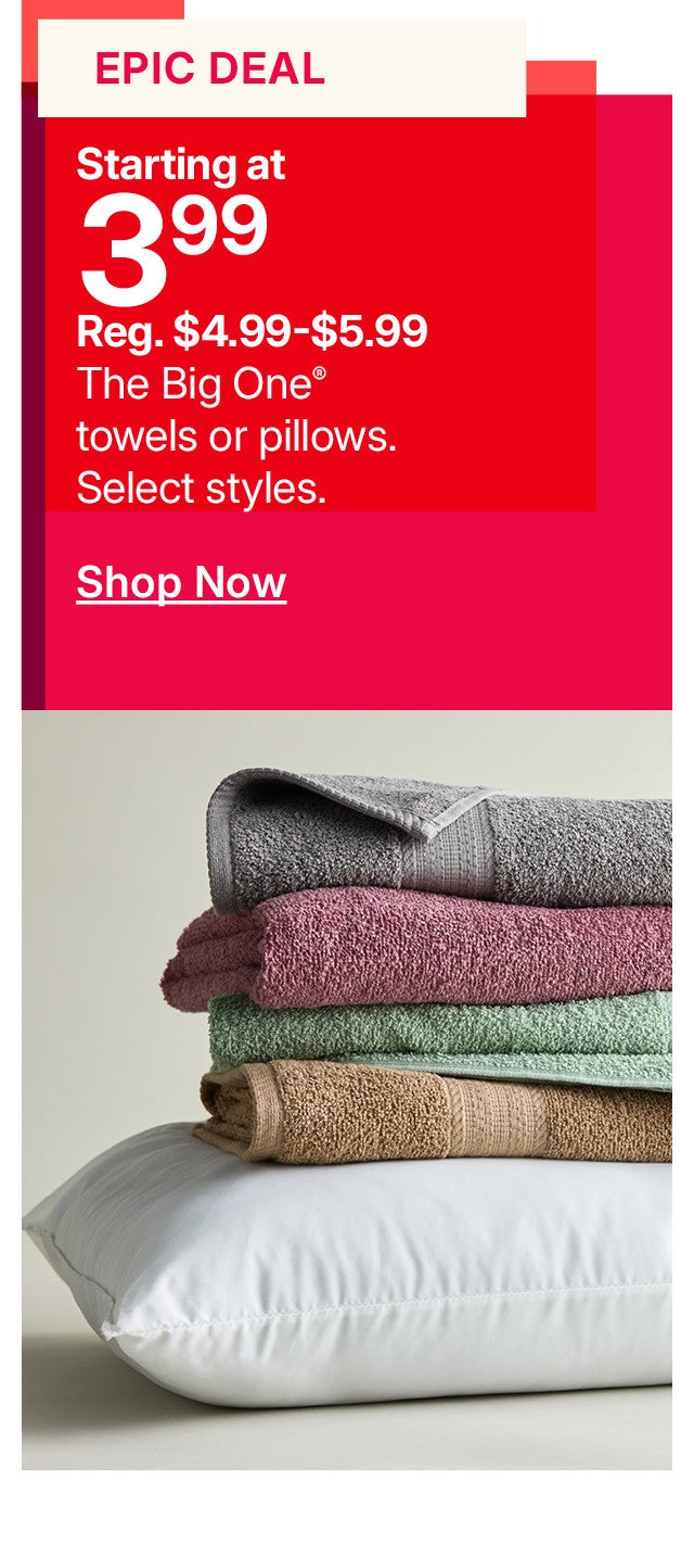 shop now