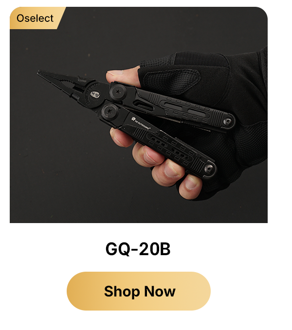 GQ-20B