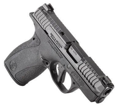 S&W® BODYGUARD® 2.0 NTS