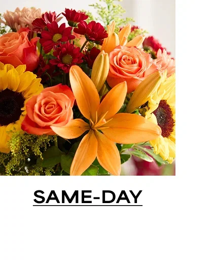 Same-Day