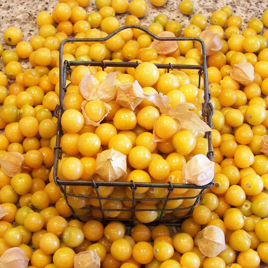 BEST SELLING FRUIT