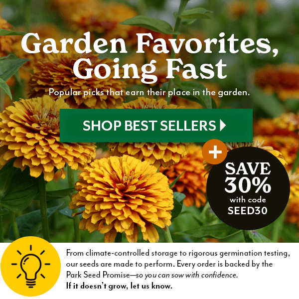 Great Flavor, Strong Harvest, Best Sellers