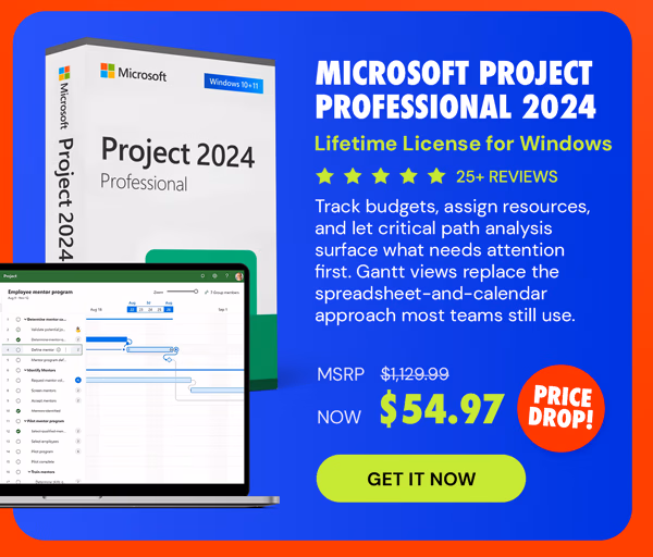 Microsoft Project Professional 2024: Lifetime License for Windows