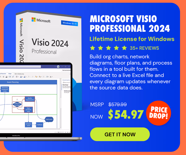 Microsoft Visio Professional 2024: Lifetime License for Windows