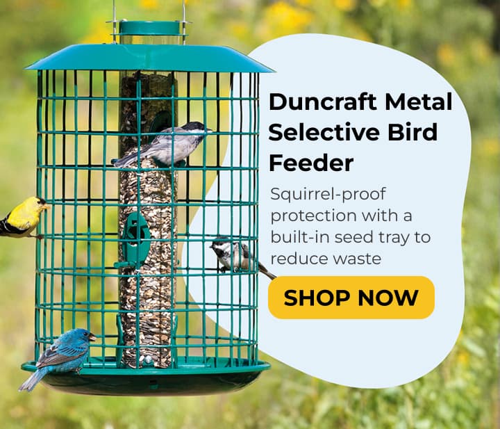 Duncraft Metal Selective Bird Feeder