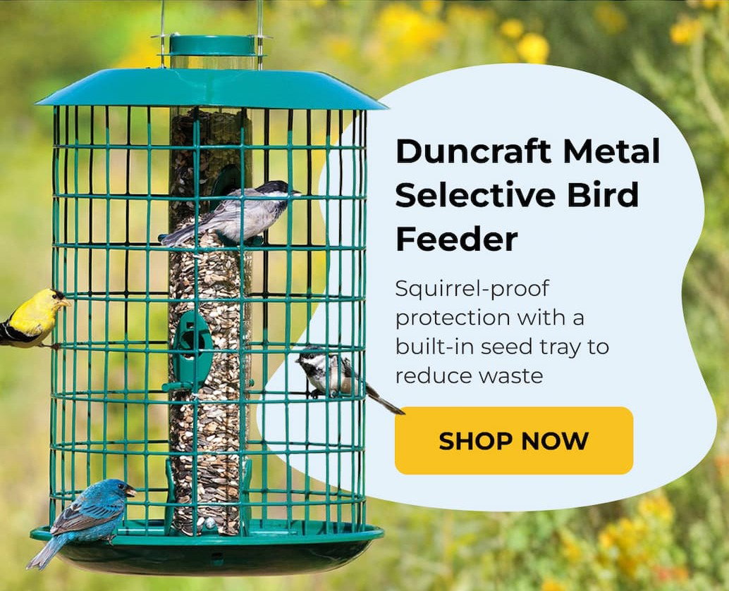 Duncraft Metal Selective Bird Feeder