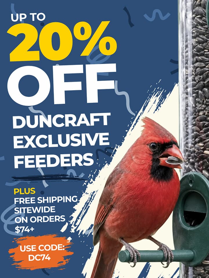Up to 20% Off Select Duncraft Exclusive Feeders
