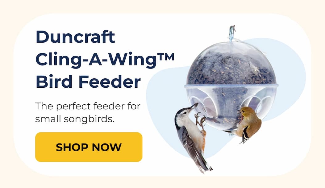 Duncraft  Cling-A-Wing™ Bird Feeder