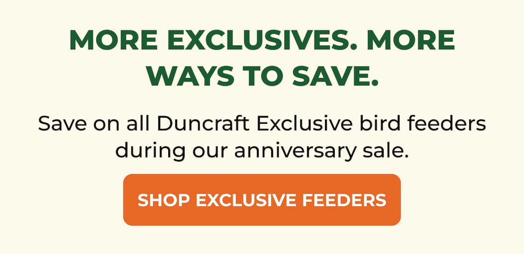 MORE EXCLUSIVES. MORE WAYS TO SAVE.