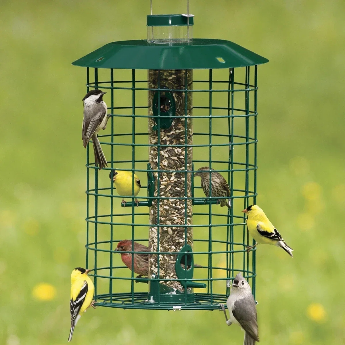 Image of Duncraft Squirrel Proof Selective Bird Feeder