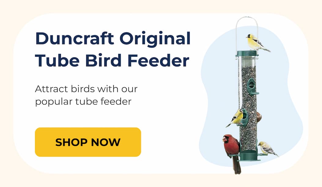Duncraft Original Tube Bird Feeder
