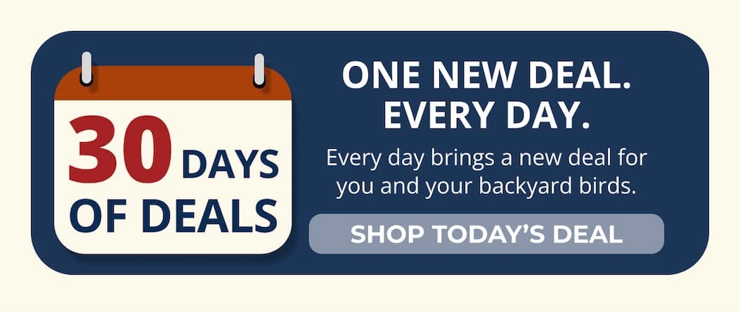 ONE NEW DEAL. EVERY DAY.