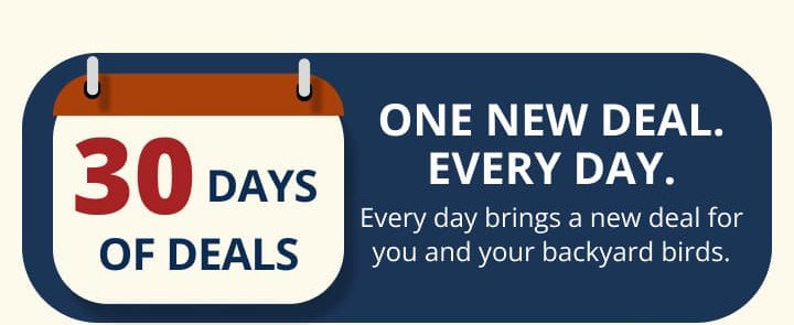 ONE NEW DEAL. EVERY DAY.