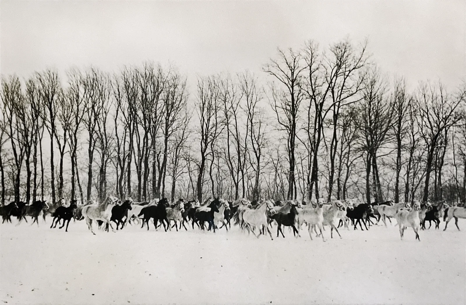 Henri Cartier-Bresson, Gyor, Hungary, 1964