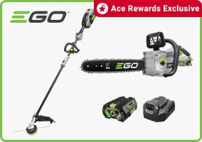 Ace Rewards Exclusive