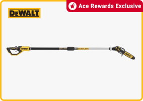 Ace Rewards Exclusive